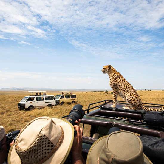 safari serengeti mwanza