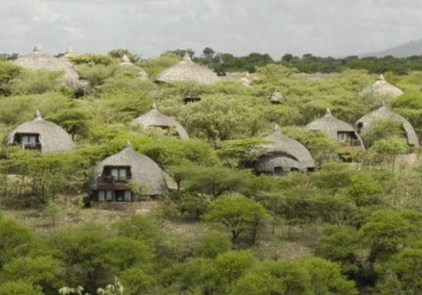 Ecolodge Serengeti